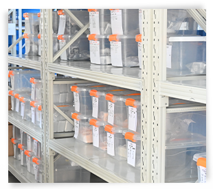 保管状態の写真送付